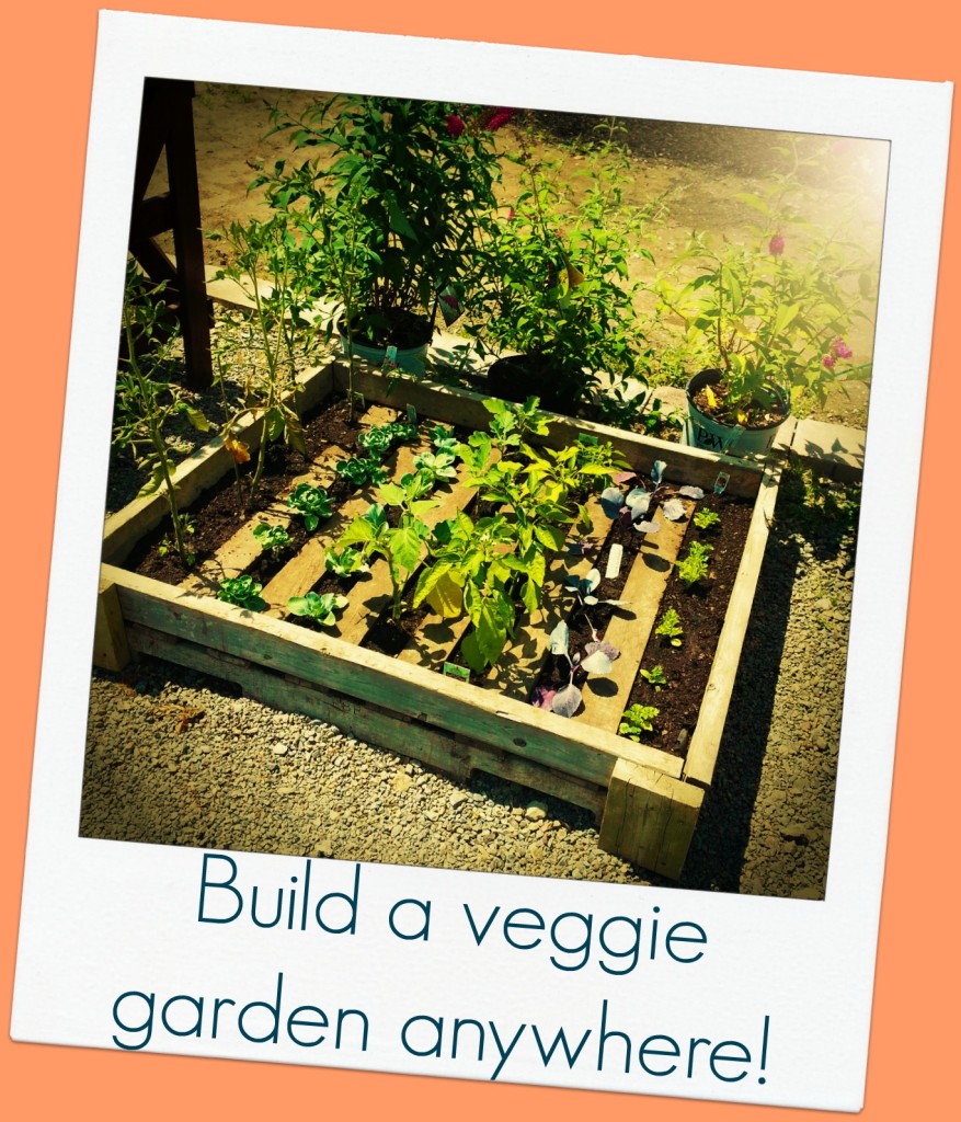 GreenScapes Garden Center & Landscape Co.