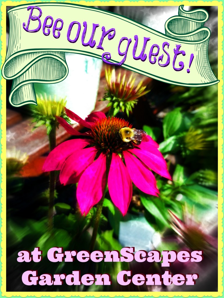 GreenScapes Garden Center & Landscape Co.