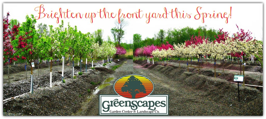 GreenScapes Garden Center & Landscape Co.