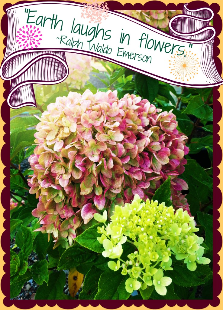 GreenScapes Garden Center & Landscape Co.