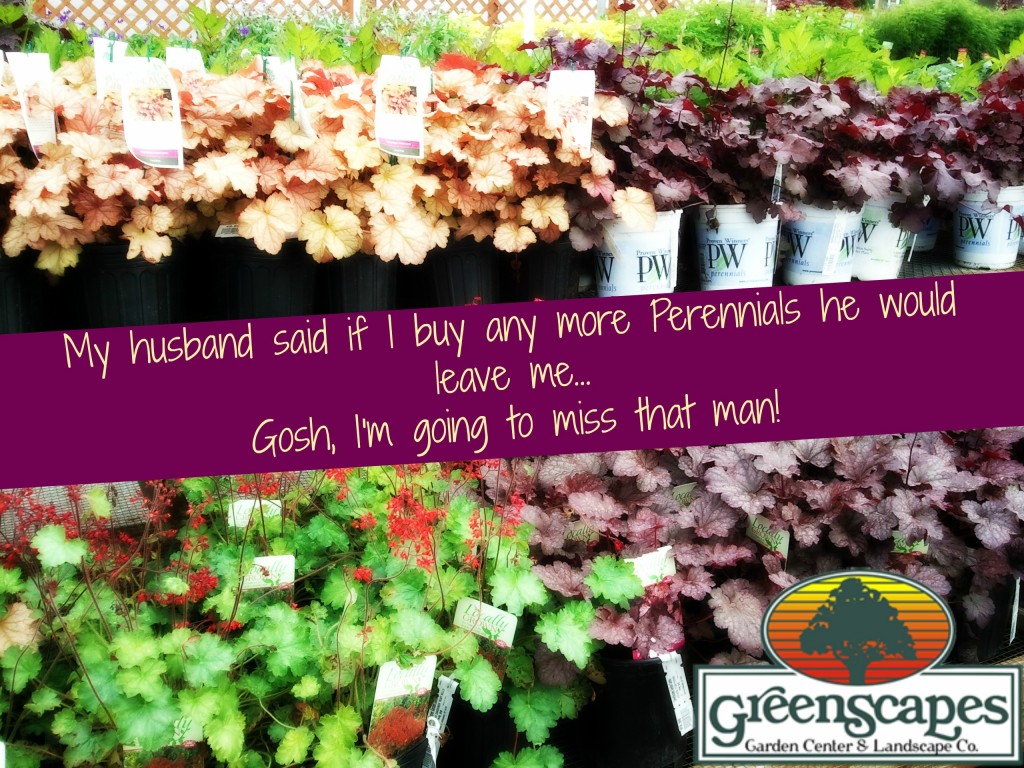 GreenScapes Garden Center & Landscape Co.