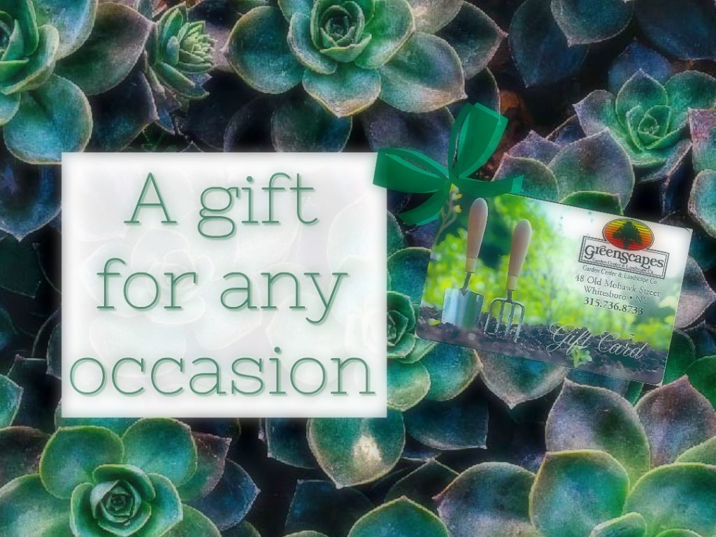 GreenScapes Garden Center & Landscape Co.