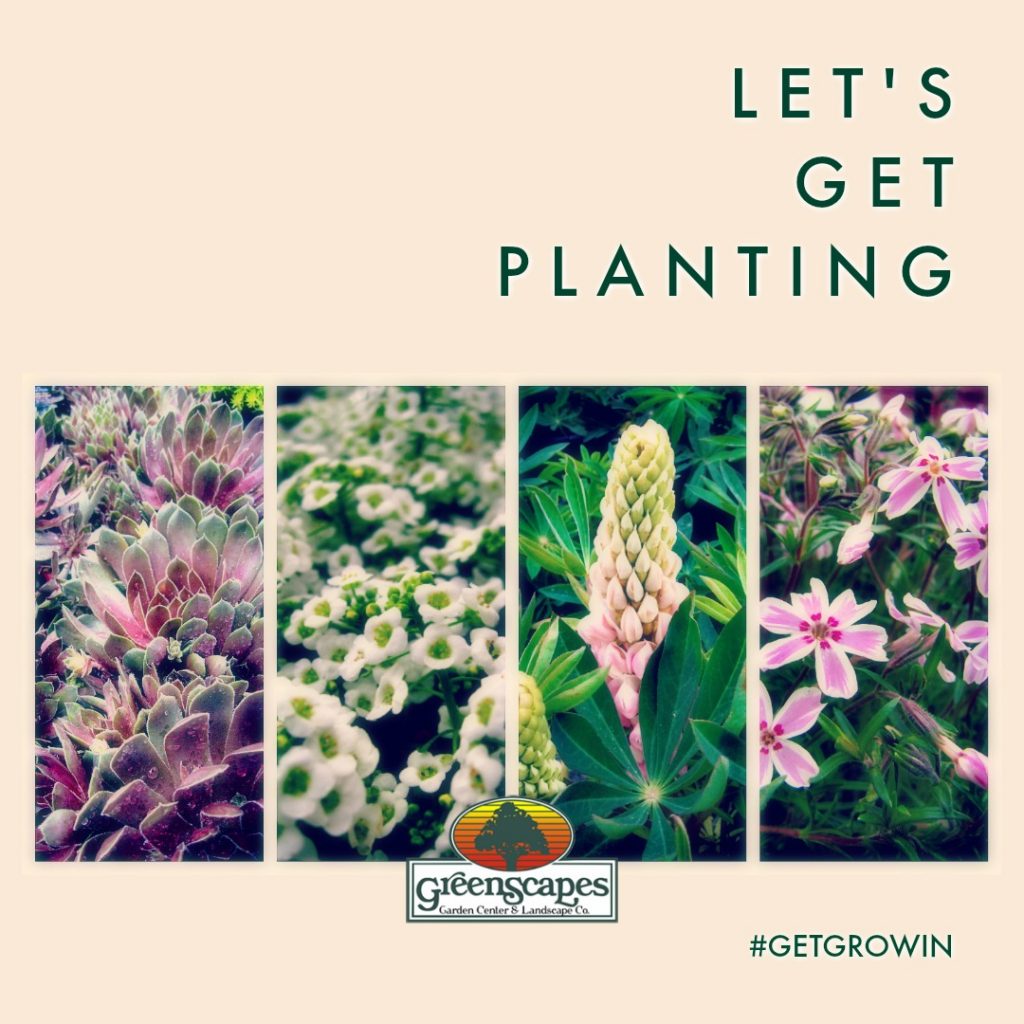 GreenScapes Garden Center & Landscape Co.