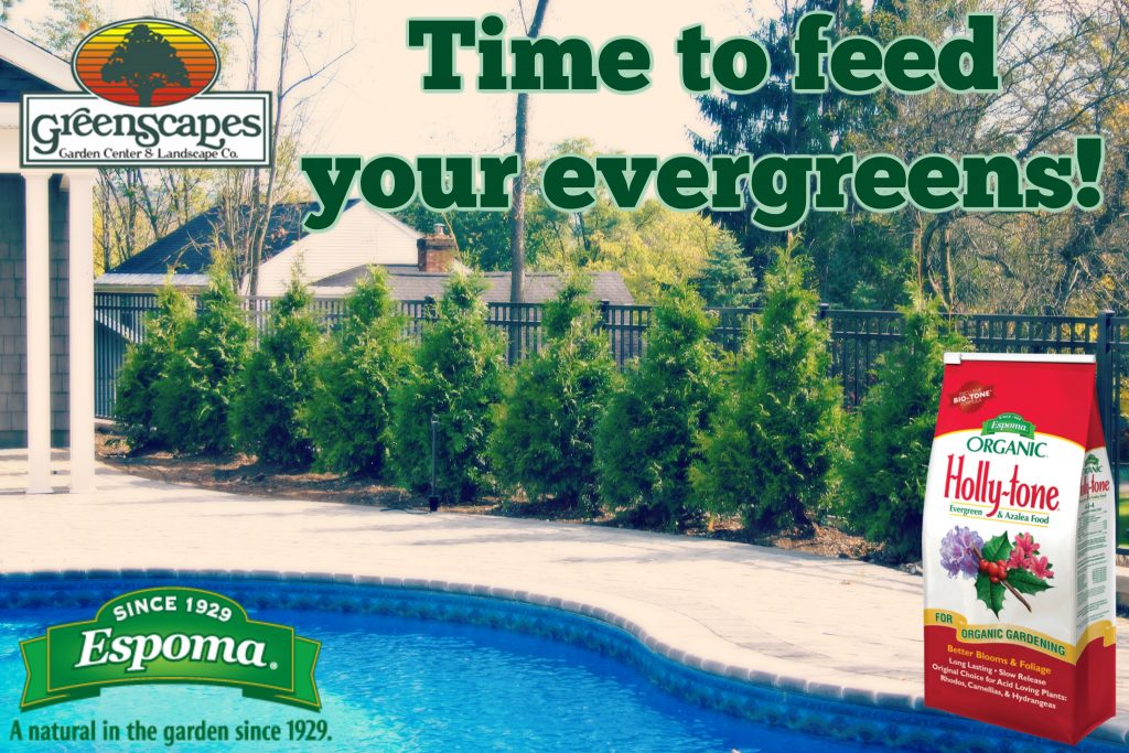 GreenScapes Garden Center & Landscape Co.