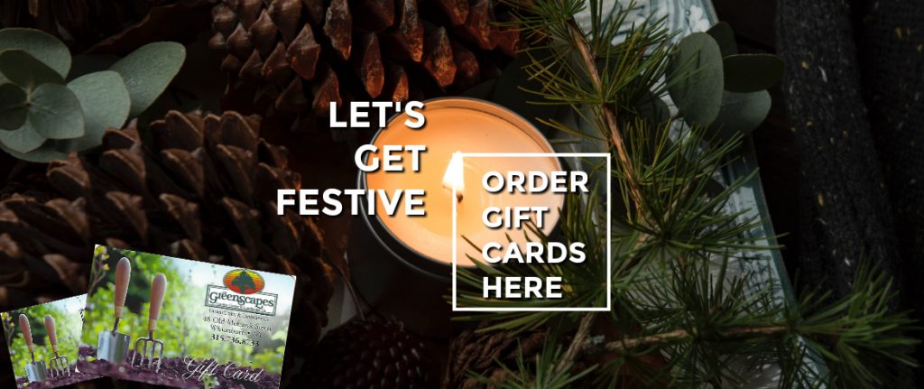 GreenScapes Garden Center & Landscape Co.